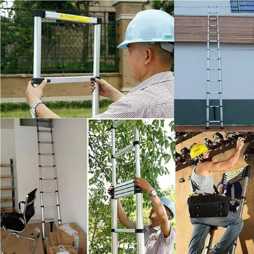 Arvex